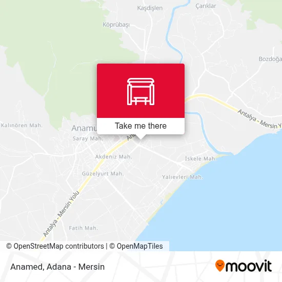 Anamed map