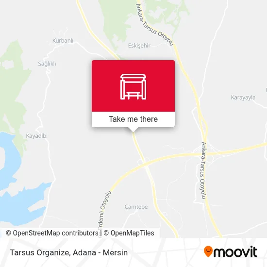 Tarsus Organize map