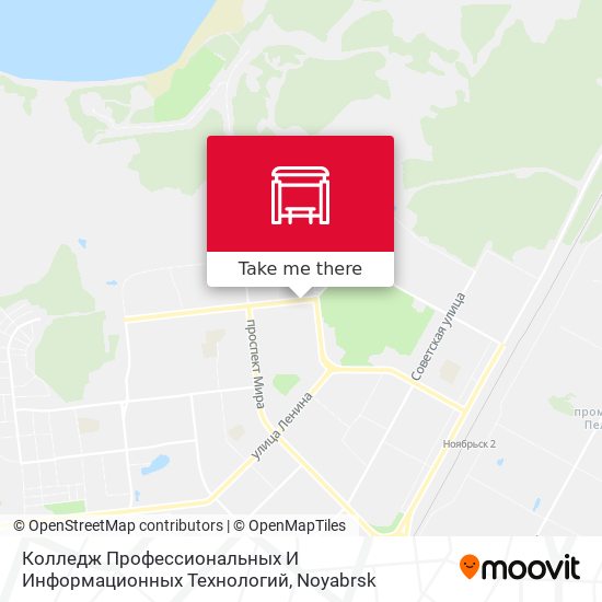 Колледж Профессиональных И Информационных Технологий map