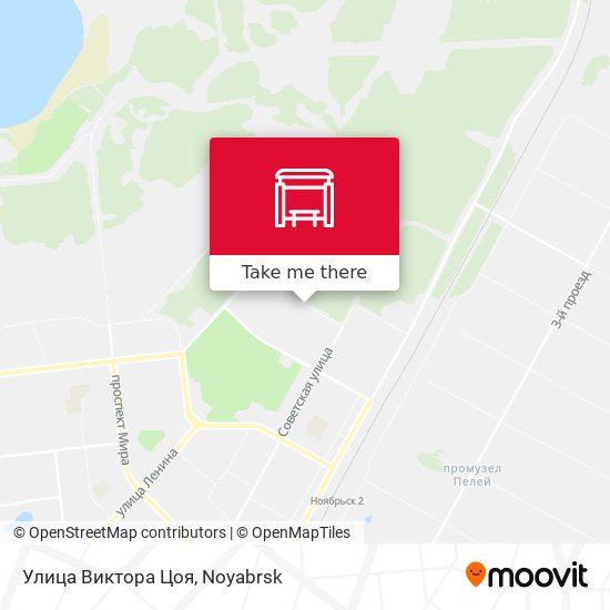 Улица Виктора Цоя map