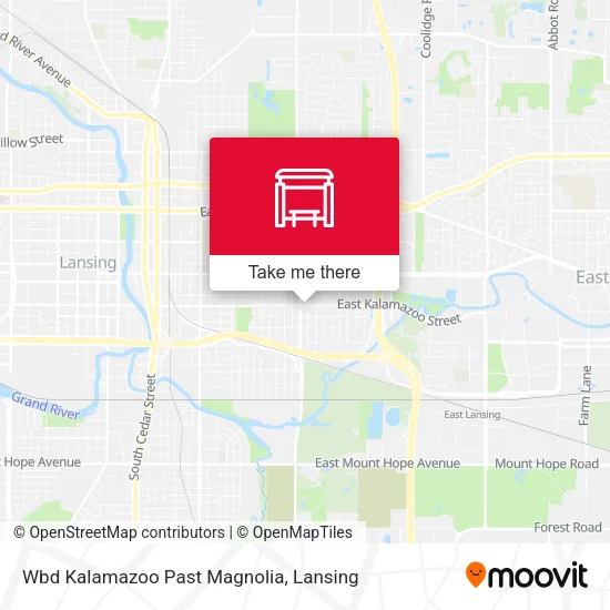 Mapa de Wbd Kalamazoo Past Magnolia