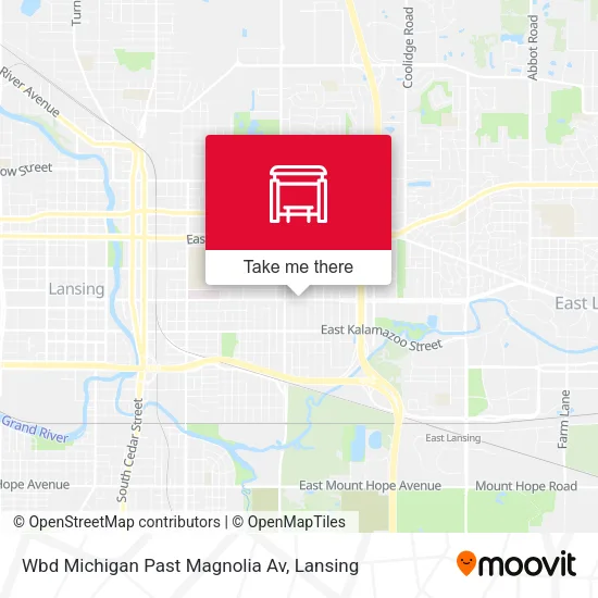 Mapa de Wbd Michigan Past Magnolia Av