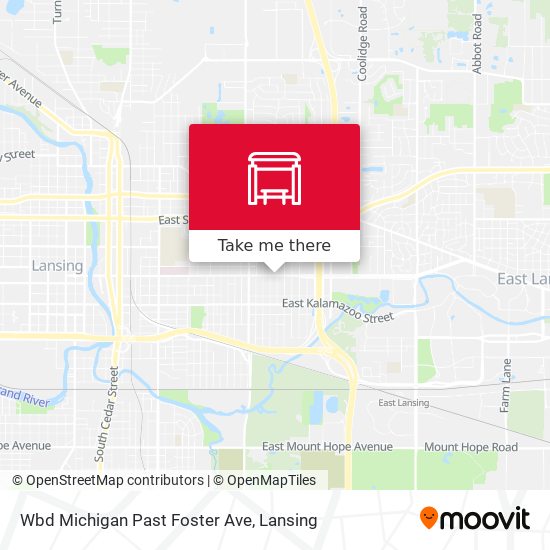 Wbd Michigan Past Foster Ave map
