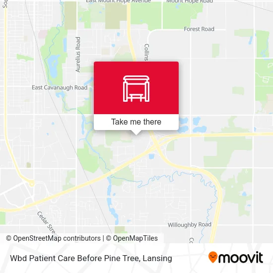 Mapa de Wbd Patient Care Before Pine Tree