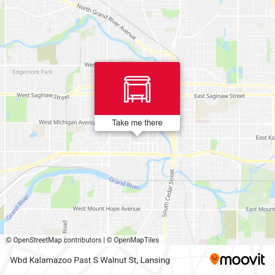 Mapa de Wbd Kalamazoo Past S Walnut St