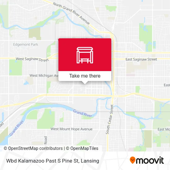 Mapa de Wbd Kalamazoo Past S Pine St