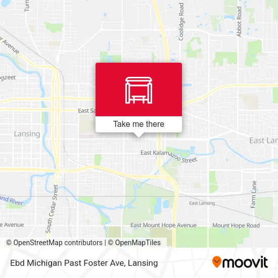 Ebd Michigan Past Foster Ave map