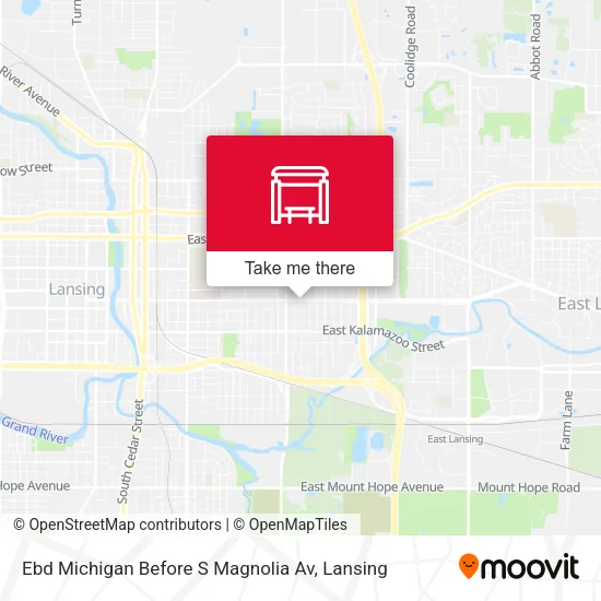 Mapa de Ebd Michigan Before S Magnolia Av
