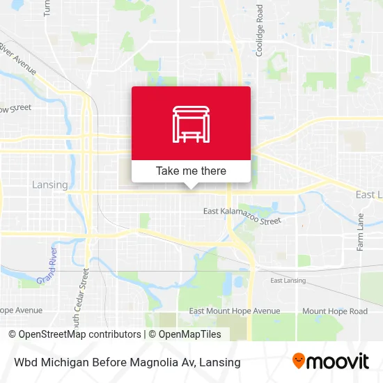 Wbd Michigan Before Magnolia Av map