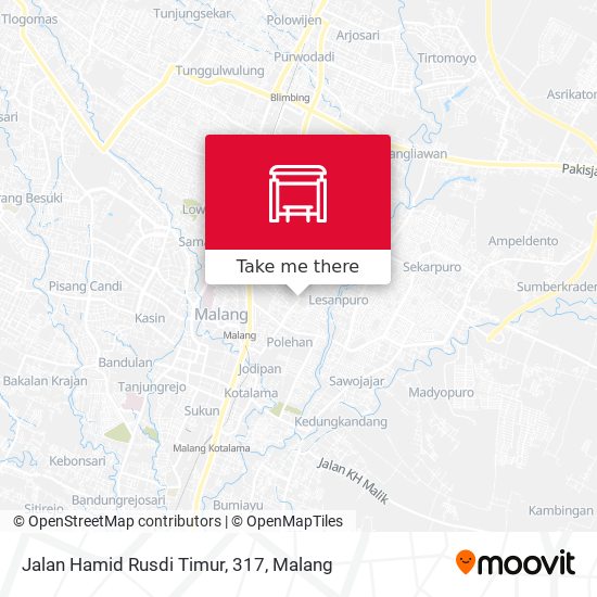 Jalan Hamid Rusdi Timur, 317 map