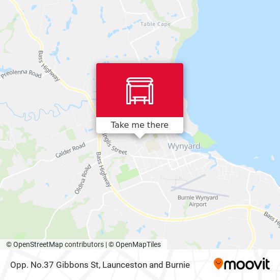 Opp. No.37 Gibbons St map