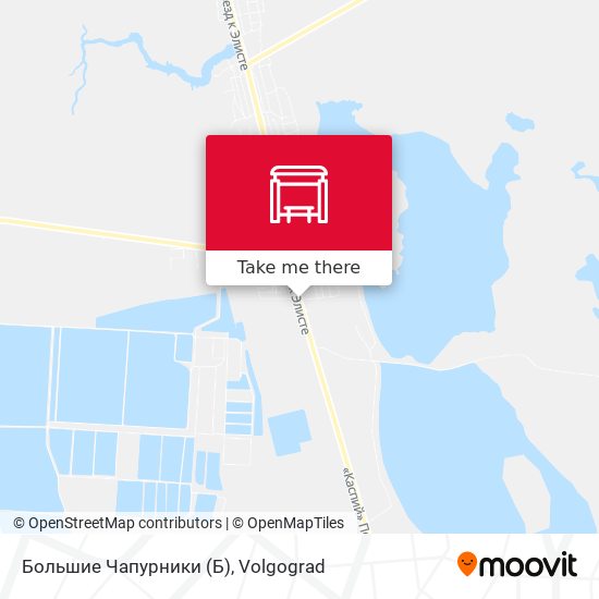 Большие Чапурники map