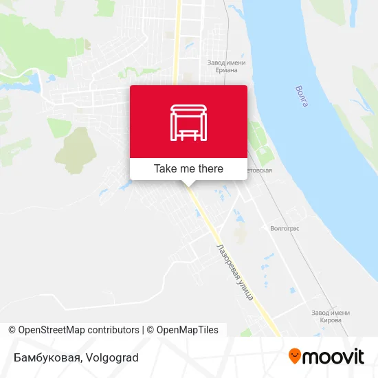 Бамбуковая map