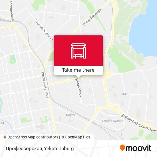 Профессорская map