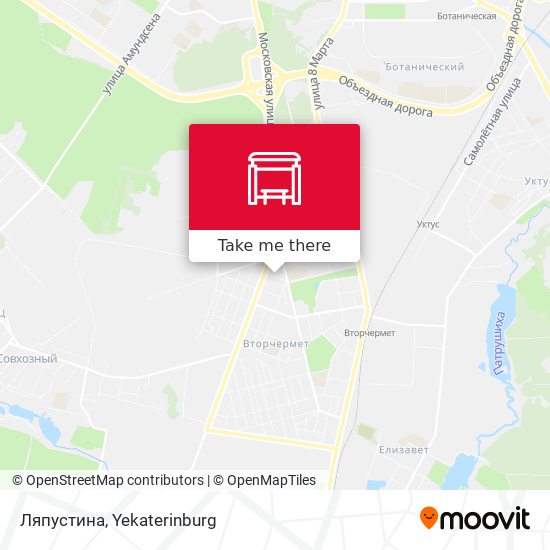 Ляпустина map
