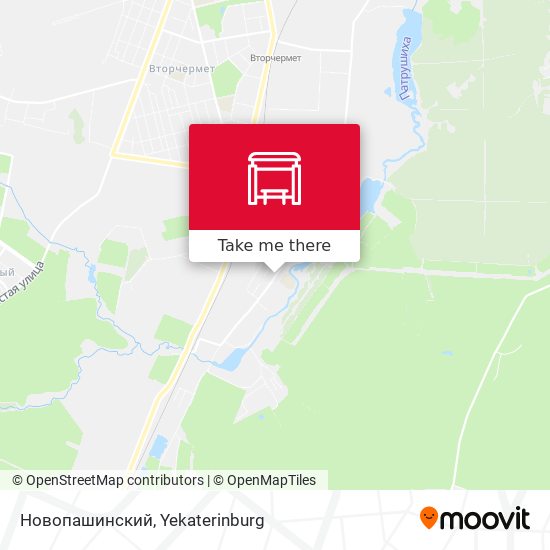 Новопашинский map