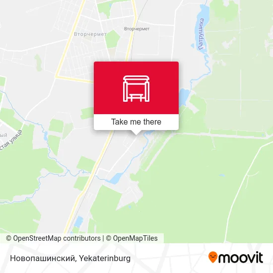 Новопашинский map