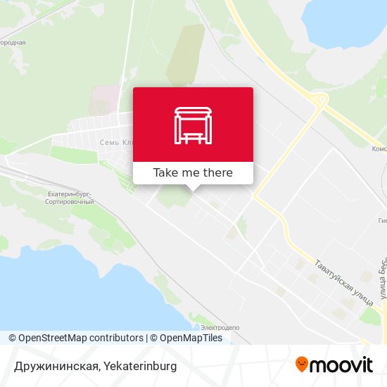 Дружининская map