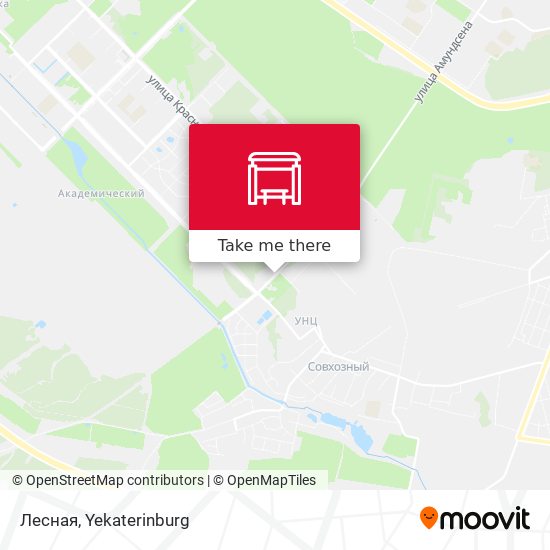 Лесная map