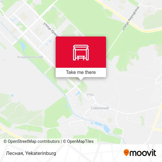 Лесная map