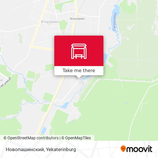 Новопашинский map