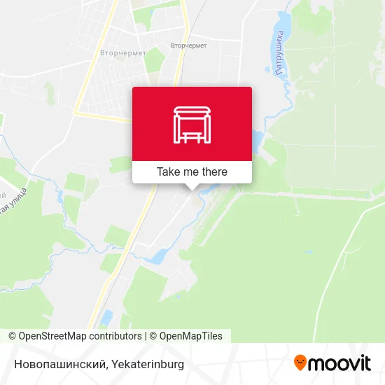 Новопашинский map