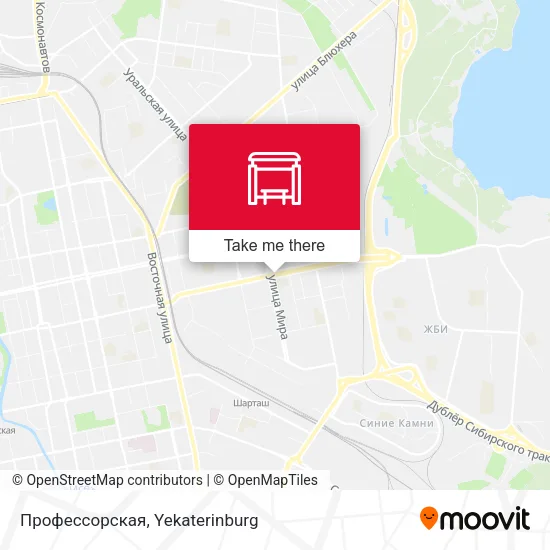 Профессорская map