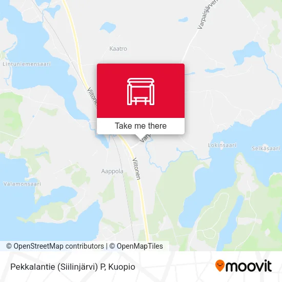 Pekkalantie (Siilinjärvi) P map