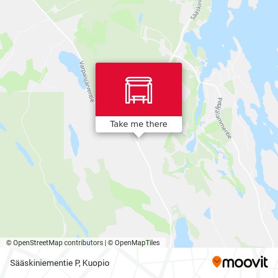 Sääskiniementie P map