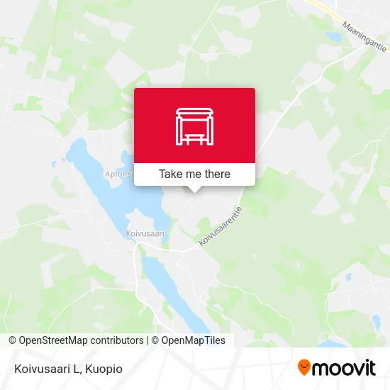 Koivusaari L map