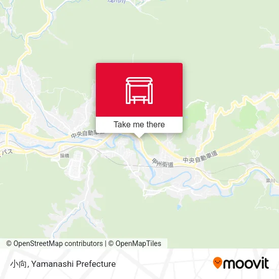 小向 map