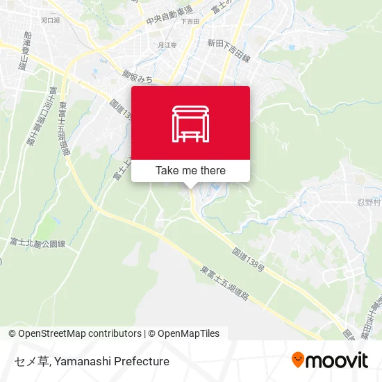 セメ草 map