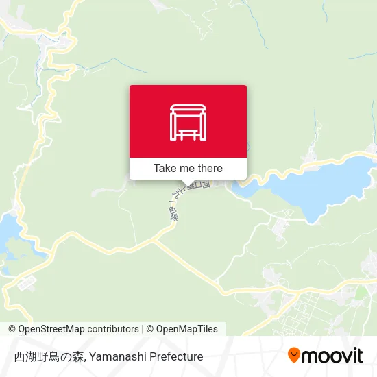 西湖野鳥の森 map