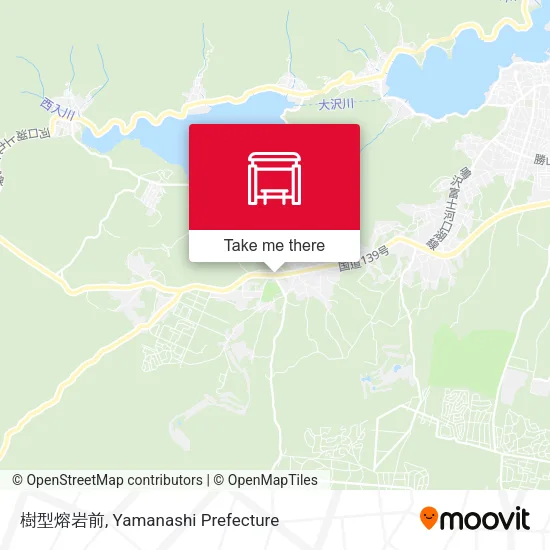 樹型熔岩前 map