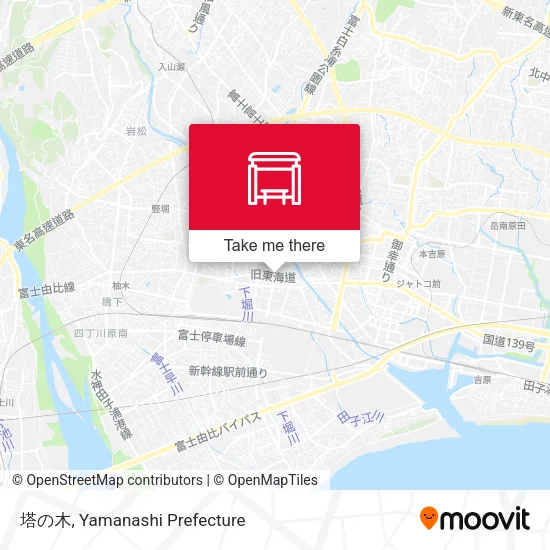 塔の木 map