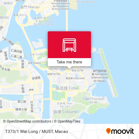 T373/1 Wai Long / MUST map
