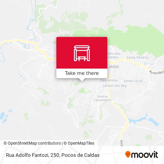 Rua Adolfo Fantozi, 250 map