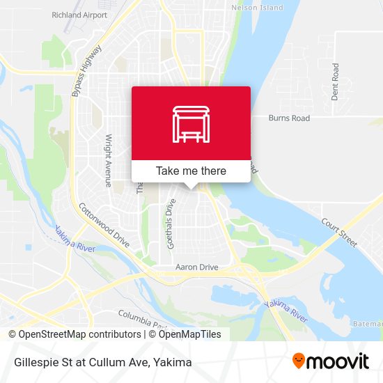 Gillespie St at Cullum Ave map