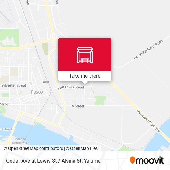 Cedar Ave at Lewis St / Alvina St map