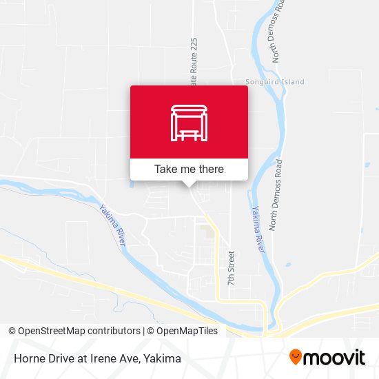Horne Drive at Irene Ave map