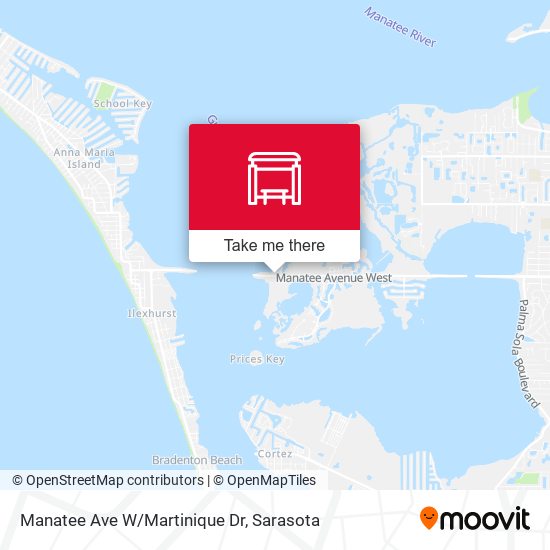 Mapa de Manatee Ave W/Martinique Dr