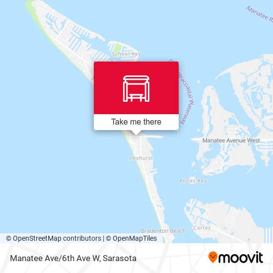 Manatee Ave/6th Ave W map