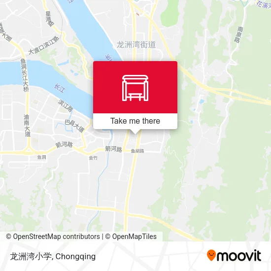 龙洲湾小学 map