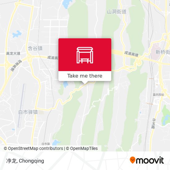 净龙 map