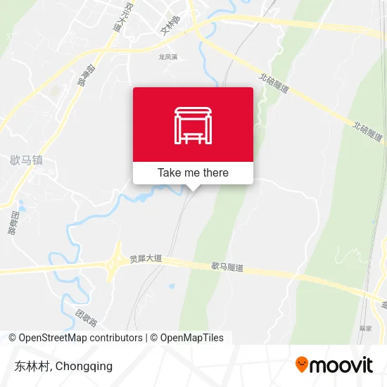 东林村 map