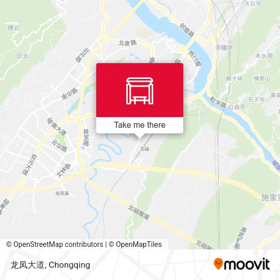 龙凤大道 map