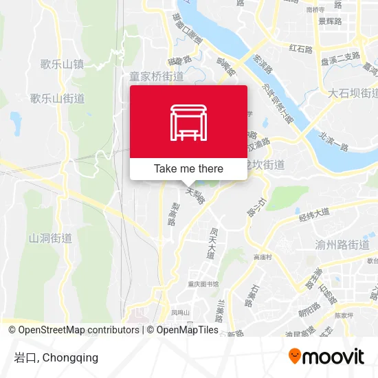岩口 map