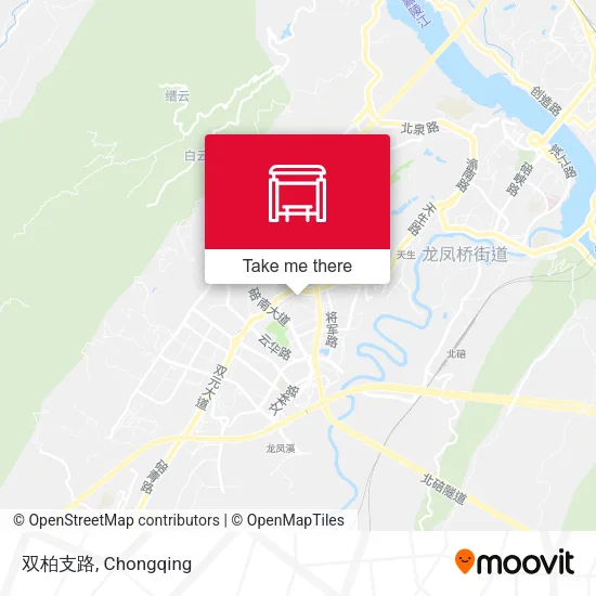 双柏支路 map