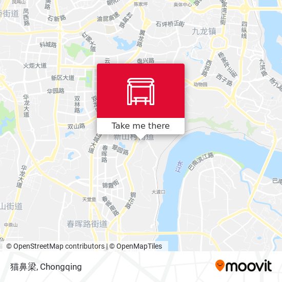猫鼻梁 map