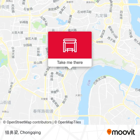 猫鼻梁 map